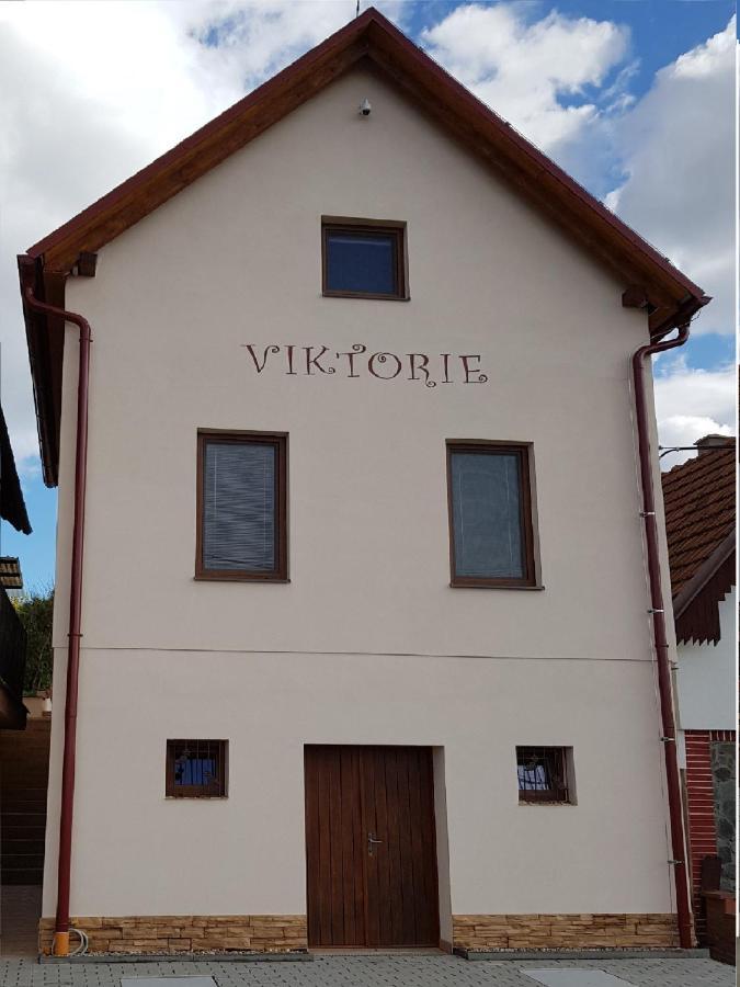 Apartman S Vinnym Sklepem Viktorie Pouzdrany エクステリア 写真