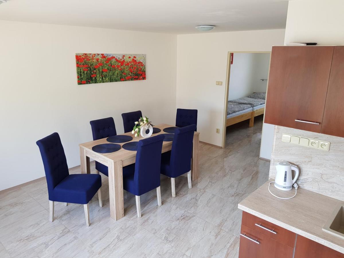 Apartman S Vinnym Sklepem Viktorie Pouzdrany エクステリア 写真
