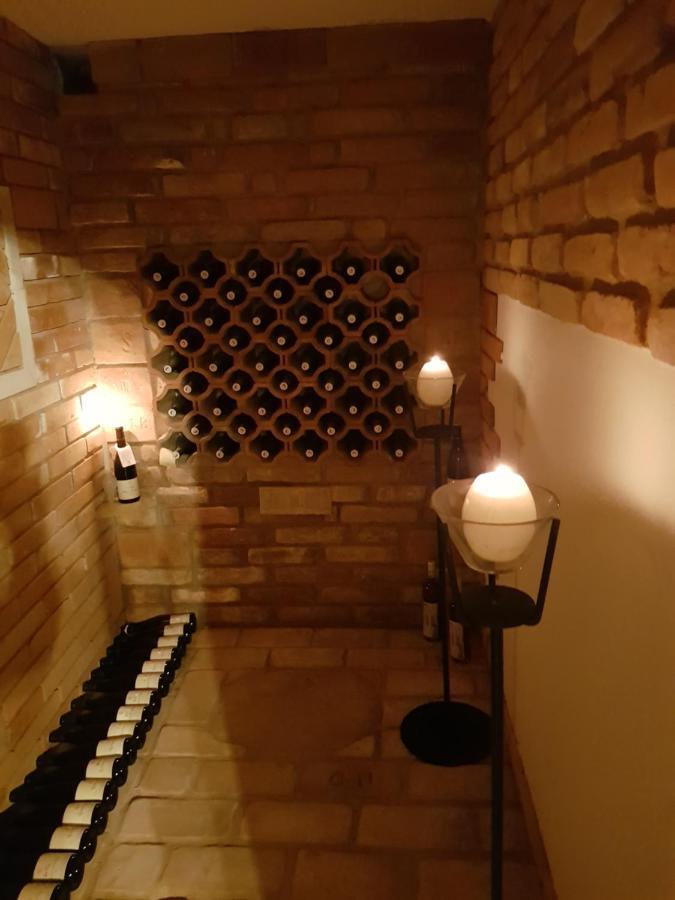 Apartman S Vinnym Sklepem Viktorie Pouzdrany エクステリア 写真