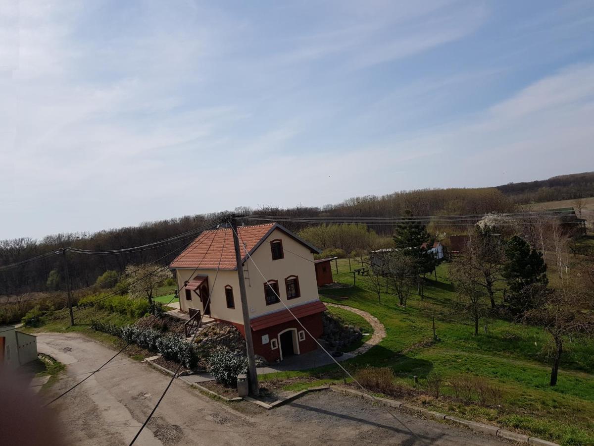 Apartman S Vinnym Sklepem Viktorie Pouzdrany エクステリア 写真