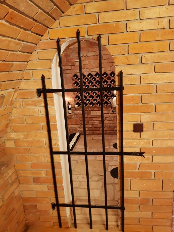 Apartman S Vinnym Sklepem Viktorie Pouzdrany エクステリア 写真